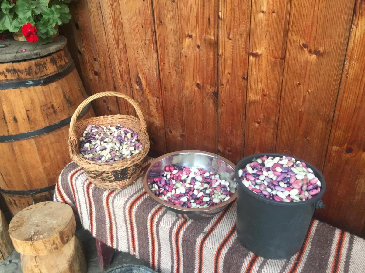 Pensiunea Agroturistica Casa Colinita Vatra Moldoviţei Zewnętrze zdjęcie