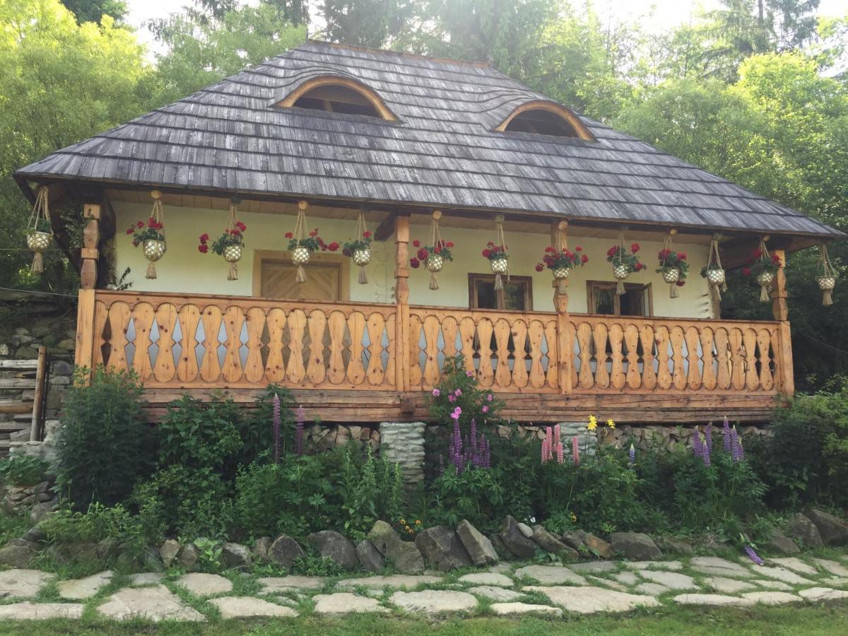 Pensiunea Agroturistica Casa Colinita Vatra Moldoviţei Zewnętrze zdjęcie