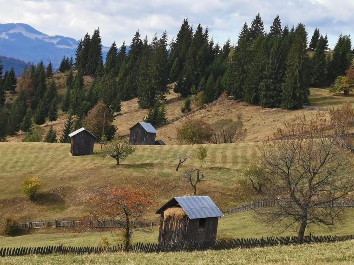 Pensiunea Agroturistica Casa Colinita Vatra Moldoviţei Zewnętrze zdjęcie