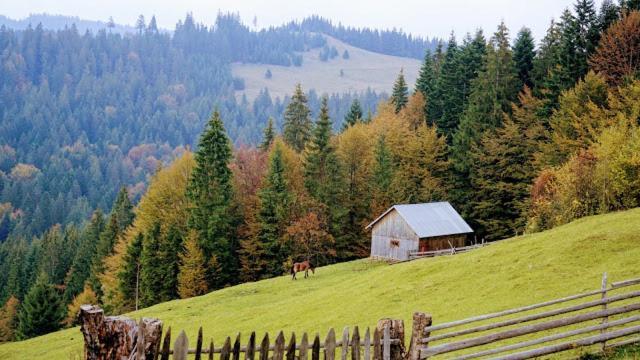 Pensiunea Agroturistica Casa Colinita Vatra Moldoviţei Zewnętrze zdjęcie