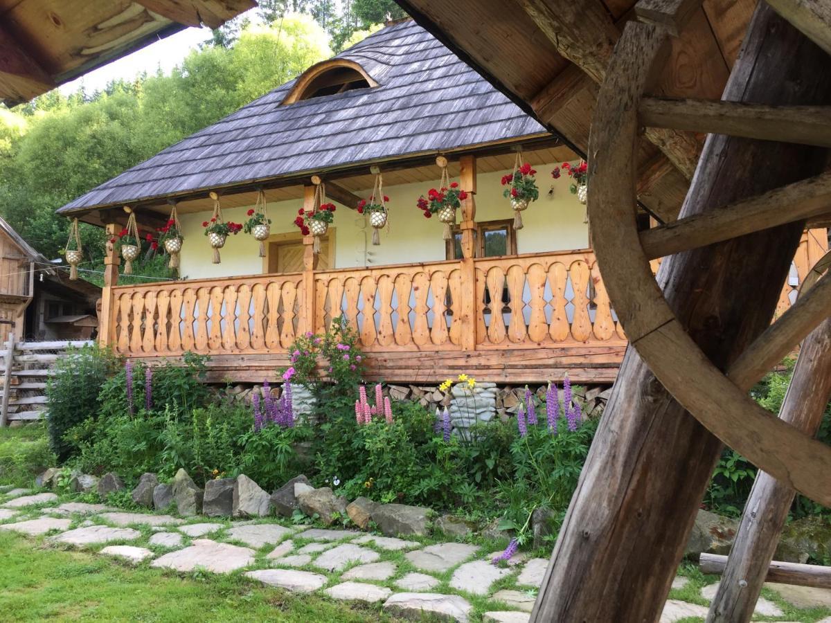 Pensiunea Agroturistica Casa Colinita Vatra Moldoviţei Zewnętrze zdjęcie