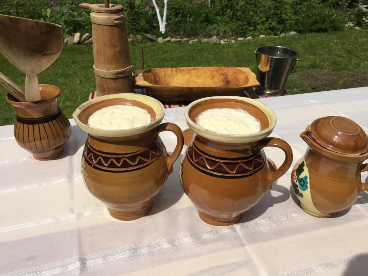 Pensiunea Agroturistica Casa Colinita Vatra Moldoviţei Zewnętrze zdjęcie