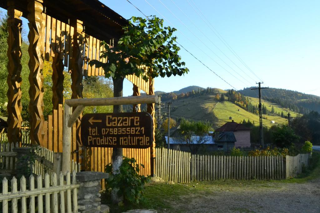 Pensiunea Agroturistica Casa Colinita Vatra Moldoviţei Zewnętrze zdjęcie