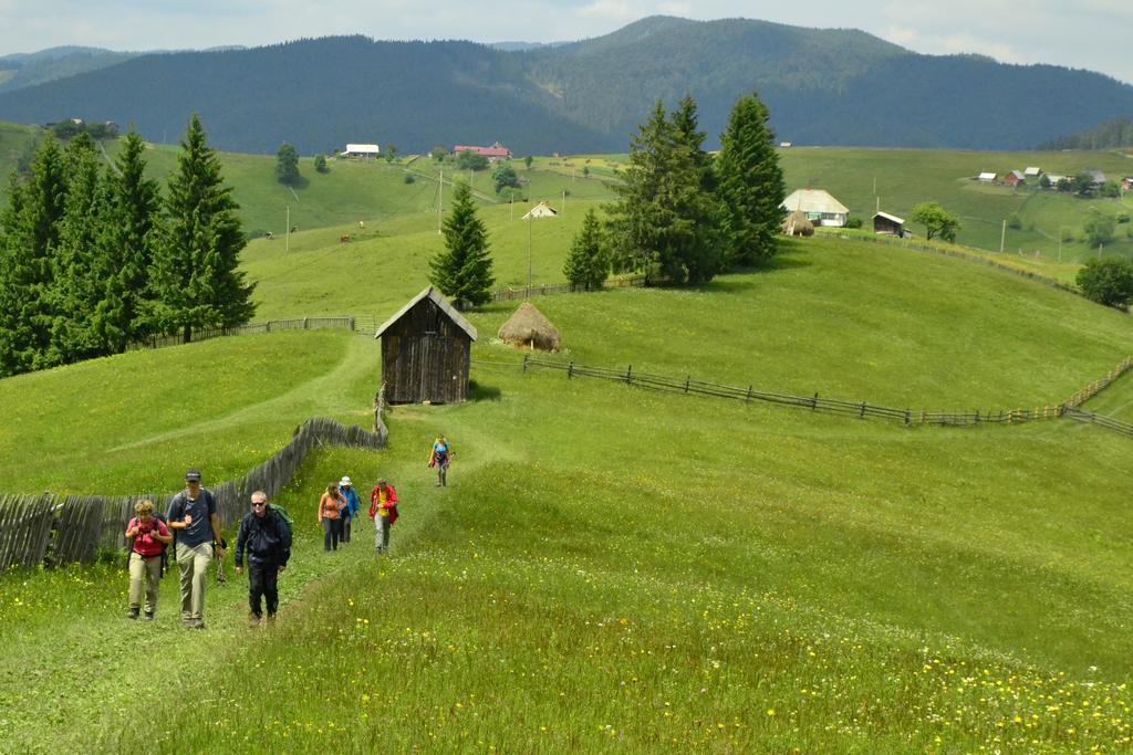 Pensiunea Agroturistica Casa Colinita Vatra Moldoviţei Zewnętrze zdjęcie