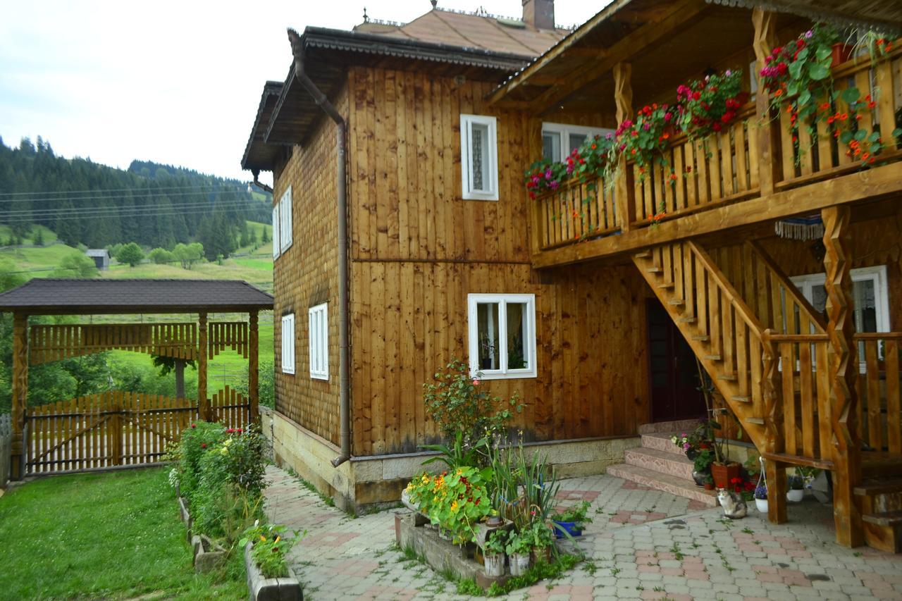 Pensiunea Agroturistica Casa Colinita Vatra Moldoviţei Zewnętrze zdjęcie