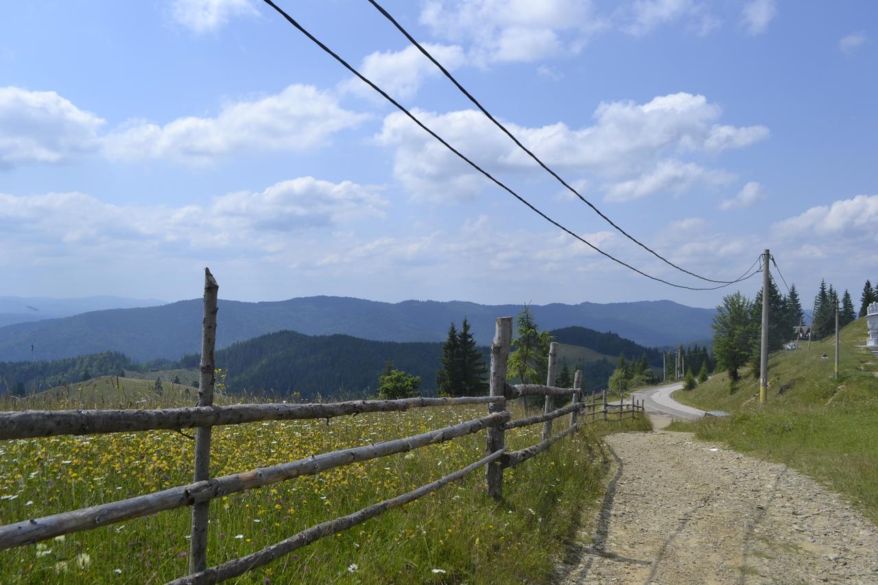 Pensiunea Agroturistica Casa Colinita Vatra Moldoviţei Zewnętrze zdjęcie